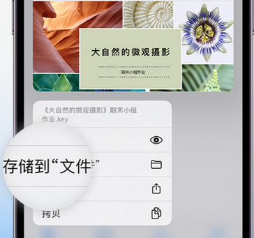 石嘴山apple维修中心分享iPhone文件应用中存储和找到下载文件