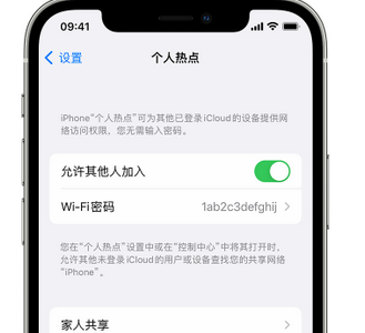 石嘴山apple服务站点分享iPhone上个人热点丢失了怎么办 