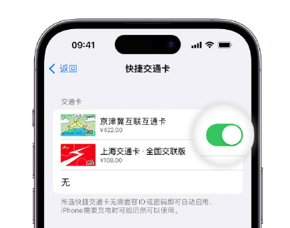 石嘴山apple维修点分享iPhone上更换Apple Pay快捷交通卡手绘卡面 