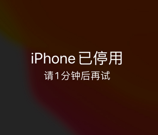 石嘴山苹果手机维修分享:iPhone 显示“不可用”或“已停用”怎么办？还能保留数据吗？ 