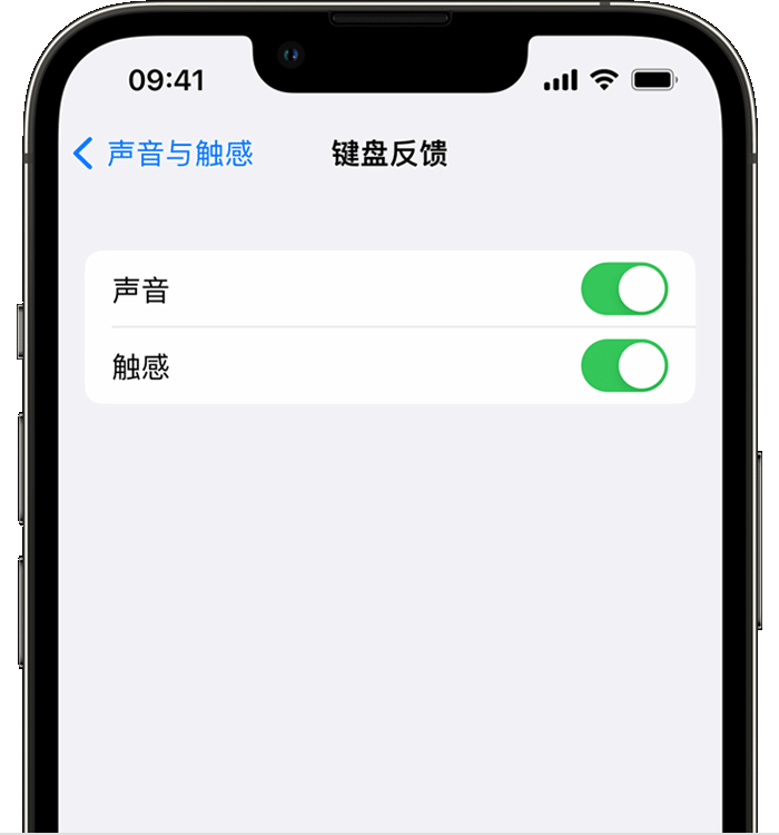 石嘴山苹果14维修店分享如何在 iPhone 14 机型中使用触感键盘 