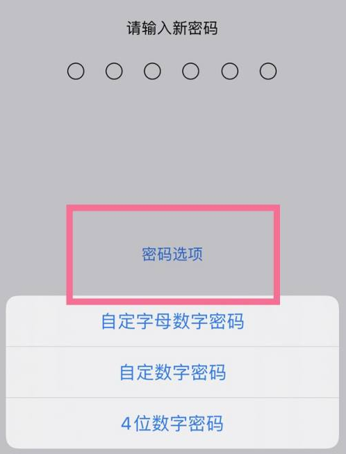 石嘴山苹果14维修分享iPhone 14plus设置密码的方法 