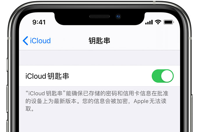 石嘴山苹果手机维修分享在 iPhone 上开启 iCloud 钥匙串之后会储存哪些信息 