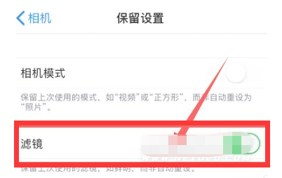 石嘴山苹果13维修分享iPhone13拍照有绿点是怎么回事 