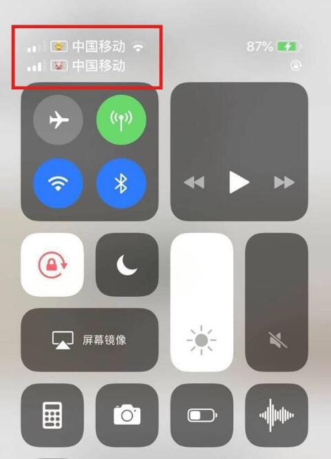 石嘴山苹果手机维修分享为 iPhone 12 双卡设置标签 
