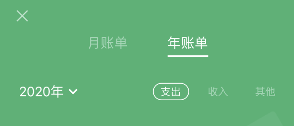 石嘴山苹果手机维修分享如何在 iPhone 上查看支付宝和微信年支出账单 